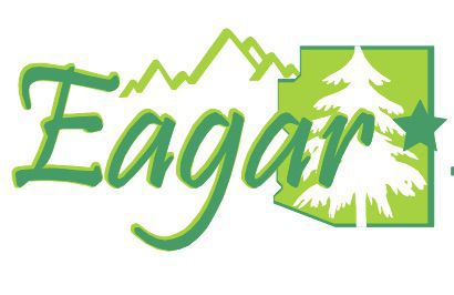 Town of Eagar logo